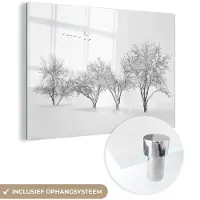 MuchoWow Glasschilderij 180x120 cm - Schilderij acrylglas - Bomen - Zwart wit - Natuur - Vogels - Foto op glas - Muurdecoratie woonkamer - Wanddecoratie slaapkamer - Schilderijen
