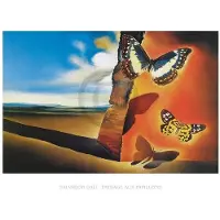 PGM Kunstdruk Salvador Dali - Paysage aux Papillons 80x60cm