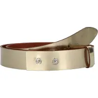Vanzetti Riem goud