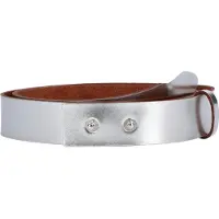 Vanzetti Riem zilver