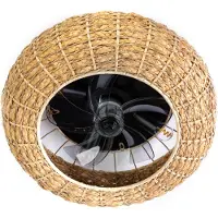 Eth Ventilator met lamp Fan.8 Rotan