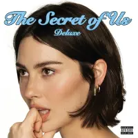 Universal Music Gracie Abrams - The Secret Of Us (2 LP) (Coloured Vinyl) (Deluxe Edition)