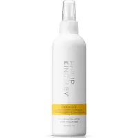 Philip Kingsley Maximizer Root Boosting Spray Volumespray 250 ml