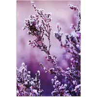 PosterMonkey Poster 20x30 cm - Lavendel - Winter - Bloemen - Paars - Posters - Kamer decoratie - Wanddecoratie woonkamer - Muurdecoratie slaapkamer