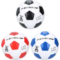 Dunlop Voetbal Leer Wit