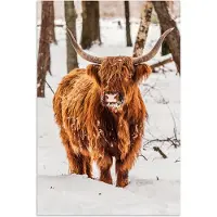 PosterMonkey Poster 80x120 cm - Schotse Hooglander - Sneeuw - Winter - Natuur - Dieren - Posters - Kamer decoratie - Wanddecoratie woonkamer - Muurdecoratie slaapkamer