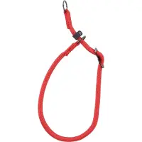 Flamingo Aiden - Anti-trek Halsband Honden - Anti-trek Halsband Aiden Rood Xl 60cm 12mm - 1st - 132818 - 1st