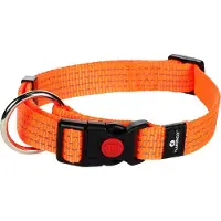 Flamingo Hondenhalsband Asp - 40-55cm20mm - Oranje
