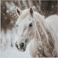 PosterMonkey Poster 100x100 cm - Paard - Wit - Winter - Natuur - Sneeuw - Dieren - Posters - Kamer decoratie - Wanddecoratie woonkamer - Muurdecoratie slaapkamer XXL