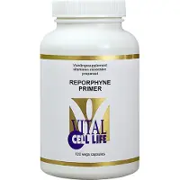 Vital cell life Reporphyne primer