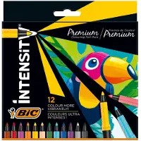 BIC Intensity Premium viltstiften (12 stuks)