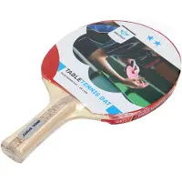 Quint Tafeltennis batje 2 sterren Tafeltennisballen