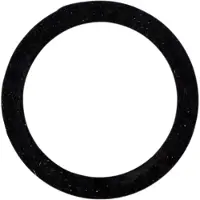 Elvedes O-ring Hayes banjo 2019114 (20x)