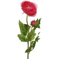 Basic Kunstbloem - - Ranonkel - 57 cm - Rood - Realistisch