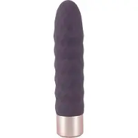You2Toys - vibrator staaf - oplaadbaar - paars