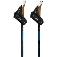 Swix Dynamic D2 Stokken Zwart 145 cm
