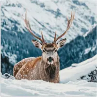 PosterMonkey Poster 30x30 cm - Hert - Landschap - Winter - Natuur - Dieren - Bergen - Posters - Kamer decoratie - Wanddecoratie woonkamer - Muurdecoratie slaapkamer