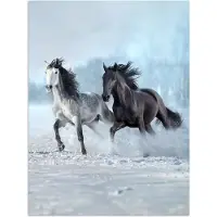 PosterMonkey Poster 30x40 cm - Paarden - Winter - Dieren - Natuur - Sneeuw - Posters - Kamer decoratie - Wanddecoratie woonkamer - Muurdecoratie slaapkamer