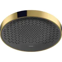 Hansgrohe Hoofddouche plafond rainfinity powderrain 360 1jet gepolijst goud