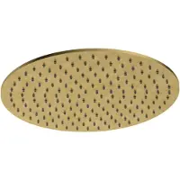 Hotbath Hoofddouche archie 30 cm 8 mm geborsteld messing pvd