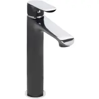 Boss & Wessing Bws wastafelmengkraan marta eenhendel hoog 26 cm model zwart chroom