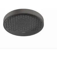 Hansgrohe Hoofddouche Plafond Rainfinity PowderRain 360 1jet Geborsteld Zwart Chroom