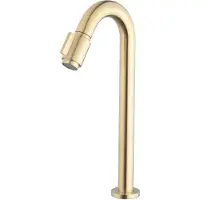 Boss & Wessing Toiletkraan xl bws cemal 1/2" geborsteld messing