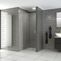 Boss & Wessing Bws douchedeur profielloos | modern | nisdeur |