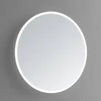Sanilux Badkamerspiegel rond met spiegelverwarming led verlichting dimbaar 60x3 cm