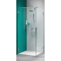 Sealskin Get Wet I AM swingdeur voor douchewand 100x200cm chroom zilver hoogglans helder glas voorzien van sealglas