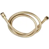 Boss & Wessing Doucheslang bws metalen 150 cm geborsteld messing goud