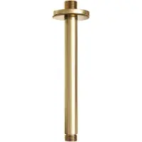 Brauer Edition Plafondarm Geborsteld Goud PVD - Messing - Kranen, Douchekranen, Hoofddouche Houders - 8720359364487 - Kranen, Douchekranen, Hoofddouche houders