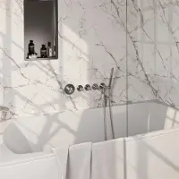 Brauer Inbouwthermostaat set Carving Met Rozetten Incl Baduitloop Geborsteld RVS (Keuze Handdouche)