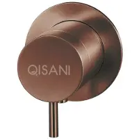 Qisani Inbouwkraan Flow Thermostatisch 1-weg Rond Geborsteld Copper