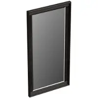 Forzalaqua Reno spiegel 40x80cm black oiled