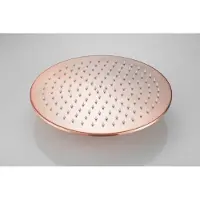 Boss & Wessing Hoofddouche bws vision rond 30 cm geborsteld koper