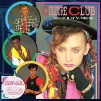 POLYDOR Colour By Numbers Édition Limitée Vinyle Bleu Clair