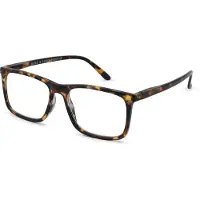 Have a look Leesbril Type A-Havanna-+3.00