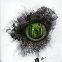 Swallow The Sun CD - Emerald forest and the blackbird - voor Geen - standaard | Maat Standard