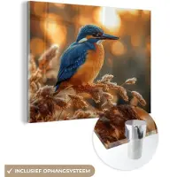 MuchoWow Glasschilderij 160x120 cm - Schilderij acrylglas - IJsvogel - Herfst - Vogels - Zon - Natuur - Herfsttakken - Foto op glas - Muurdecoratie woonkamer - Wanddecoratie slaapkamer - Schilderijen