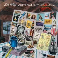 Import White Water White Bloom