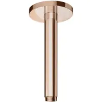 Hotbath Plafondbuis cobber rond 15 cm geborsteld koper living colours