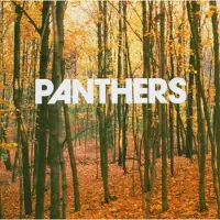 Bertus Distributie Panthers - Things Are Strange
