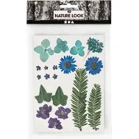Creativ Company Gedroogde bloemen en bladeren Blauw