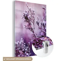 MuchoWow Glasschilderij 120x160 cm - Schilderij acrylglas - Lavendel - Winter - Bloemen - Paars - Foto op glas - Muurdecoratie woonkamer - Wanddecoratie slaapkamer - Schilderijen