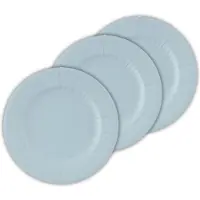 Givi Italia Feestbordjes/BBQ bordjes - 24x - lichtblauw - rond - papier/karton - 27cm - biologisch afbreekbaar - groot