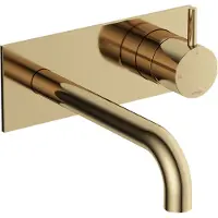 Hotbath Inbouw Wastafelkraan Met Achterplaat Cobber 18cm Gebogen Uitloop 1-Hendel Gepolijst Messing