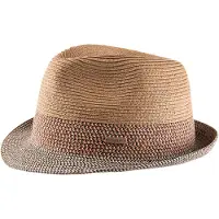 Barts Hoed beige / bruin