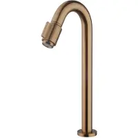 Boss & Wessing Fonteinkraan xl bws exclusive 1/2 geborsteld brons koper
