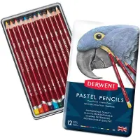 Derwent Metaalkleurige Pastelpotlood 12 Eenheden